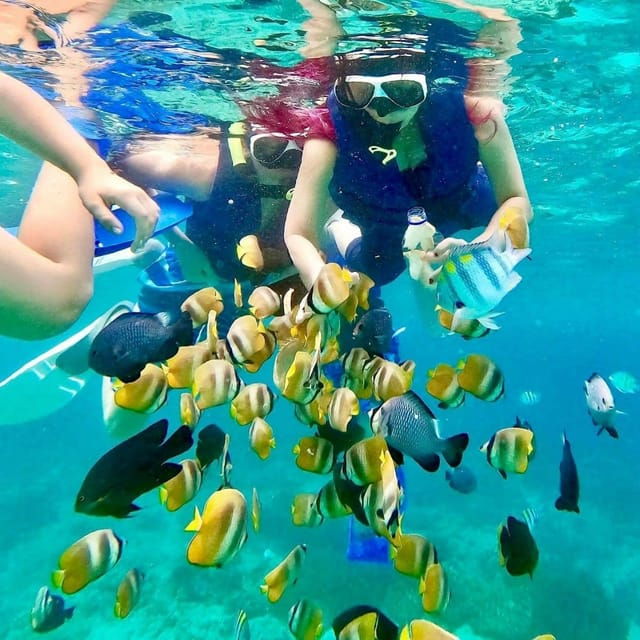Bali : Snorkeling Blue Lagoon, Tanjung Jepun & Goa Lawah Day - Included Amenities