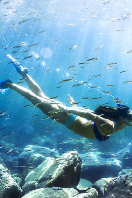 Bali: Snorkeling Blue Lagoon, Tanjung Jepung & Waterfall - Marine Life Encountered