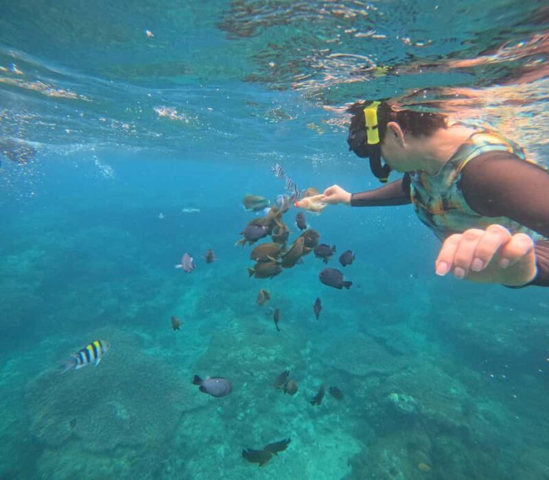 Bali: Snorkeling Experience in Blue Lagoon and Tanjung Jepun - Good To Know