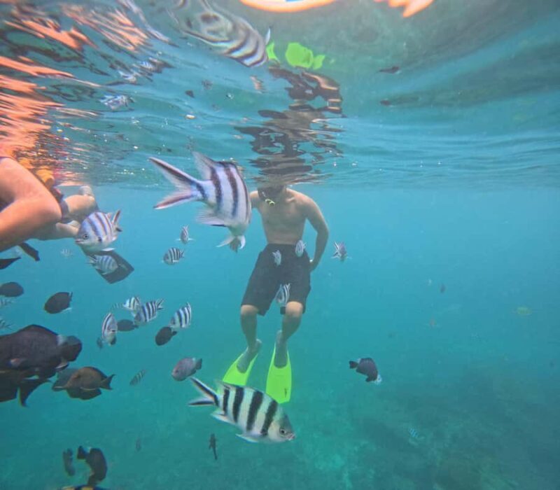 Bali: Snorkeling Experience in Blue Lagoon and Tanjung Jepun - Who Would Enjoy This Tour Most?