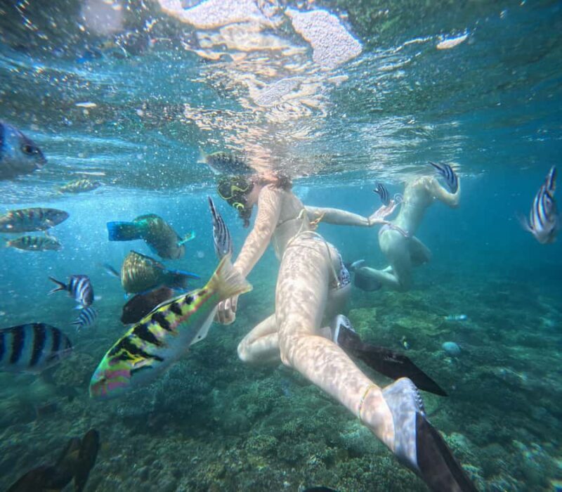 Bali: Snorkeling Experience in Blue Lagoon and Tanjung Jepun - Final Thoughts
