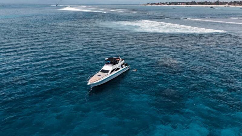 Bali: Snorkeling Manta by Yacht to Nusa Penida & Lembongan - What to Expect: Practical Considerations