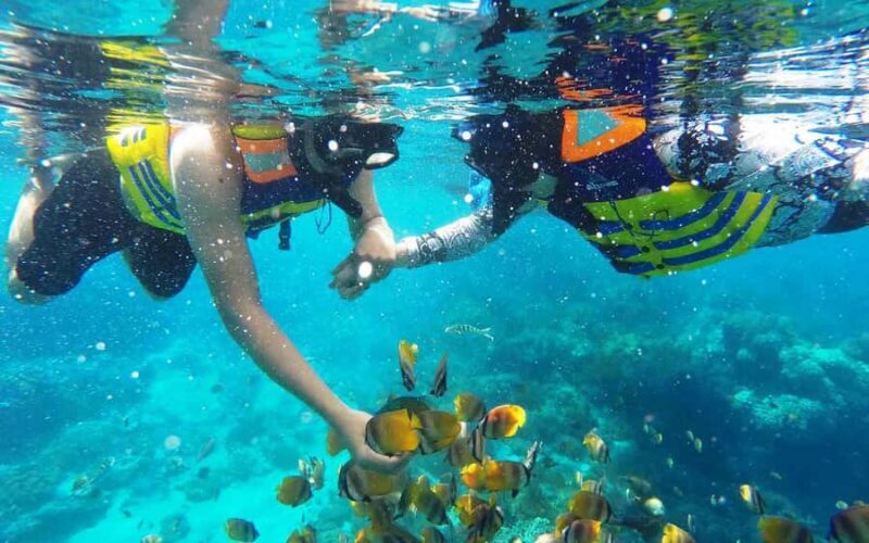 Bali: Snorkeling Tour with USAT Liberty Shipwreck - Good To Know