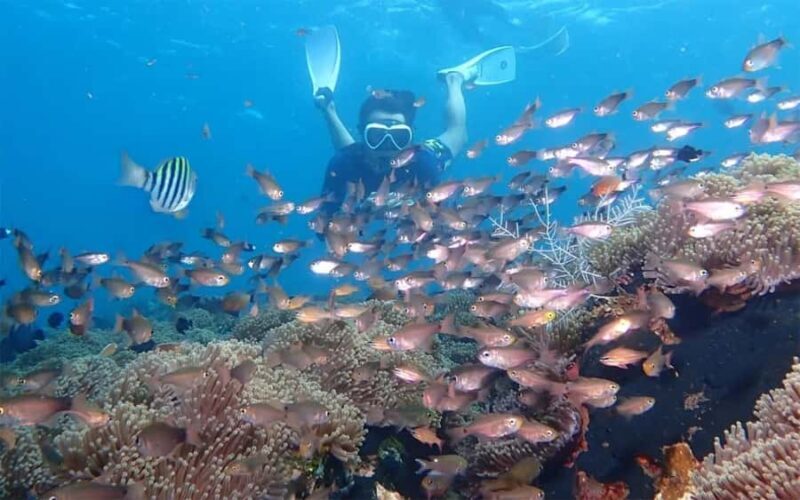 Bali: Snorkeling Tour with USAT Liberty Shipwreck - Why Choose This Tour?