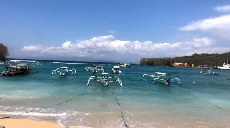Bali: Snorkeling Trip to Blue Lagoon with Private Pickup Car - An In-Depth Look at the Bali Snorkeling Tour Experience