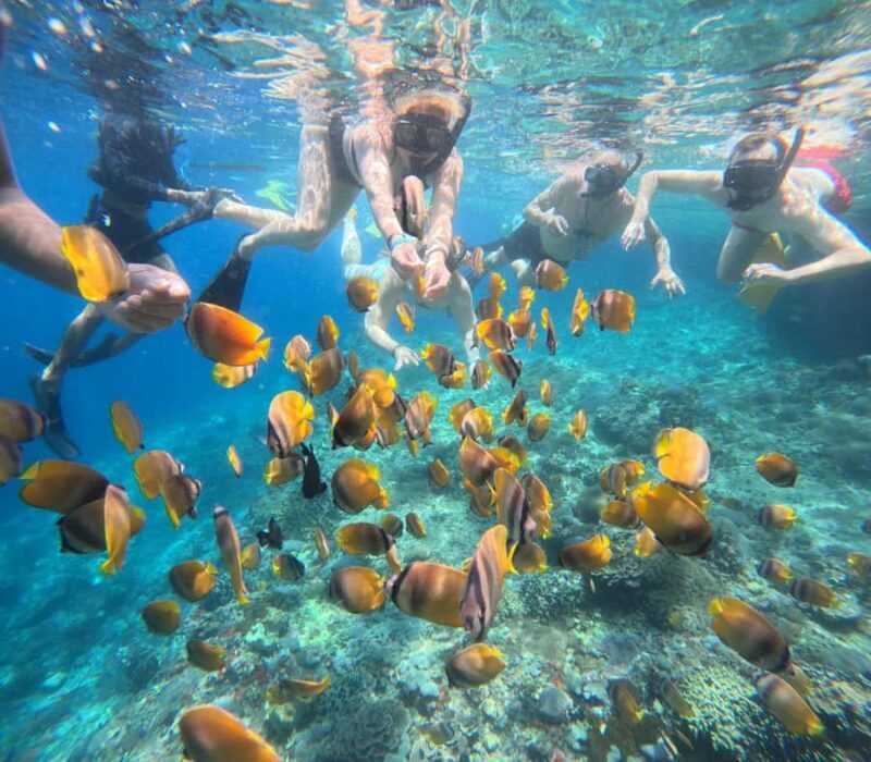 Bali: Snorkeling Trip to Blue Lagoon with Private Pickup Car - What Makes This Tour Stand Out