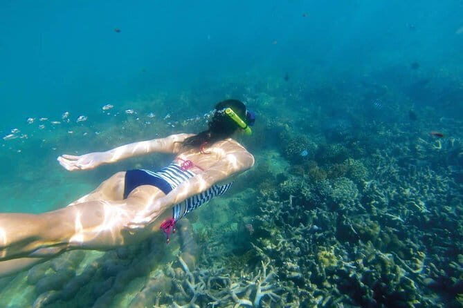 Bali Snorkeling with visit Tukad Cepung Waterfall - Who Is This Tour Best For?