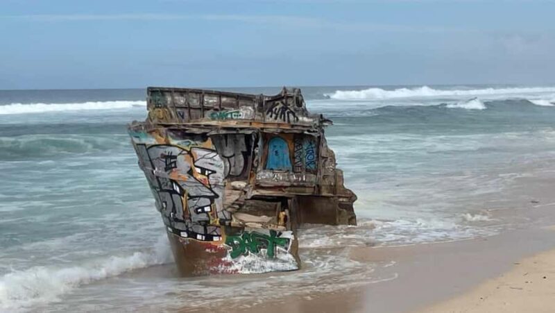 Bali: South Bali Tour with Turtle Sanctuary & Transfer Hotel - The Sum Up: Who Is This Tour Perfect For?