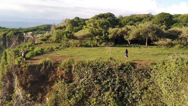 Bali: South Bali Tour with Turtle Sanctuary & Transfer Hotel - FAQ