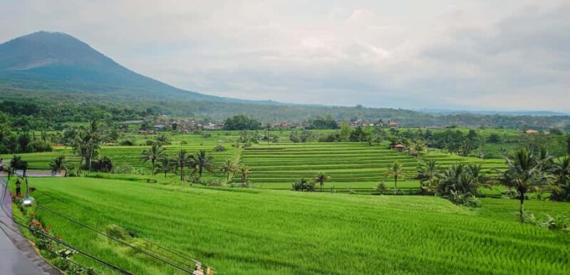 Bali: Spirit of Tabanan Motorcycle Tour - The Sum Up  