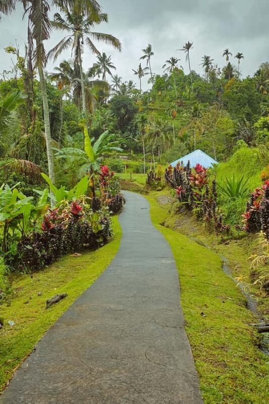 Bali: Spirit of Tabanan Motorcycle Tour - The Itinerary in Detail