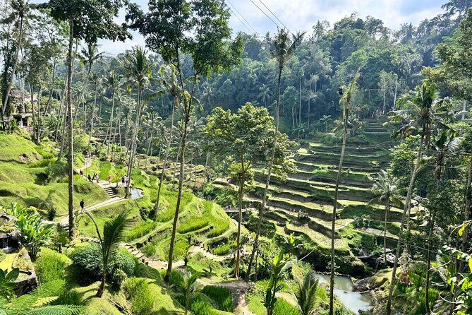 Bali Spiritual: Balinese Healing, Temple & Rice Terrace - Value and Practicality