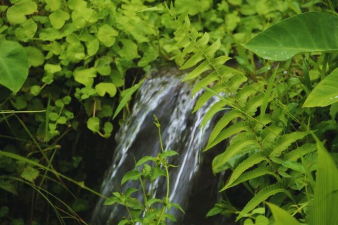 Bali Spiritual: Blessing Ceremony, Pristine Nature, Transfer - Full Description