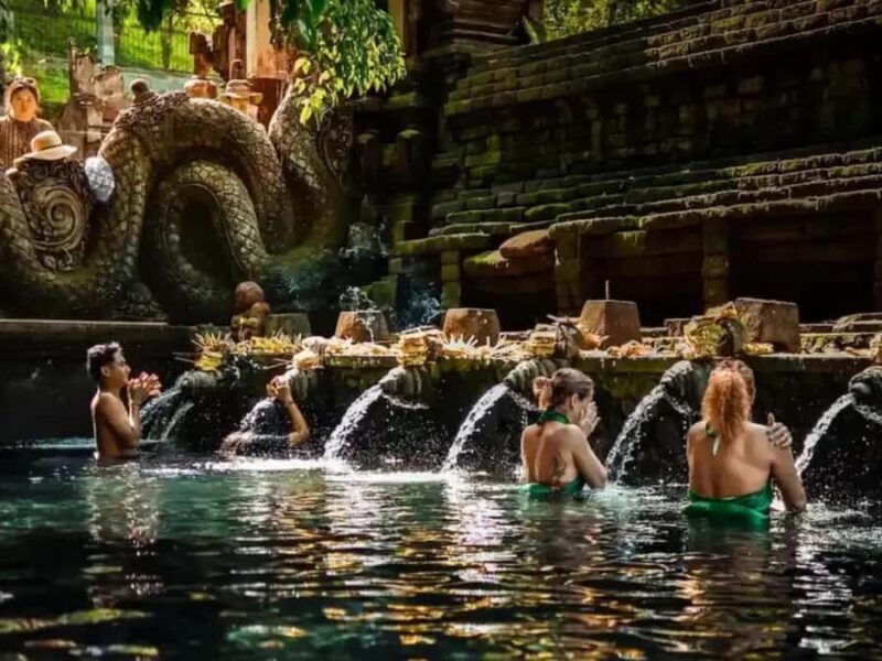 Bali: Spiritual Journey with Purification Reflect & Spa - Practical Details and Tips