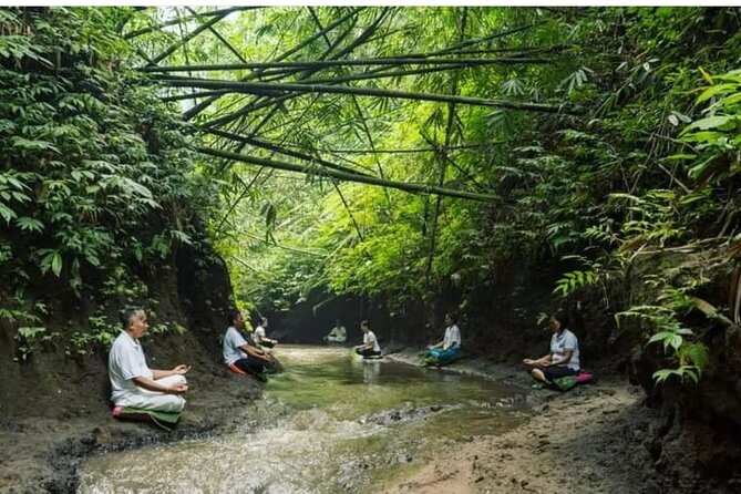 Bali Spiritual: Palm Reading, Purification, and Healing - Good To Know