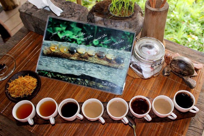 Bali Spotlight Tour - Tour Highlights