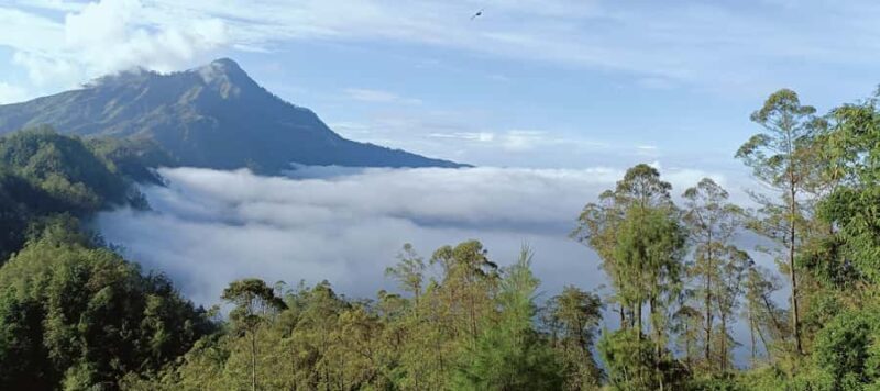 Bali Sunrise, ATV, Coffee & Secret Waterfall - Discovering a Secret Waterfall