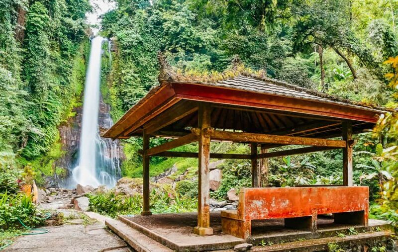 Bali: Sunrise Dolphin Snorkel, Waterfall & UNESCO Temple - Final Thoughts