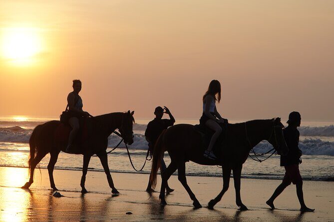 Bali Sunrise Horse Riding and Tour - Good To Know