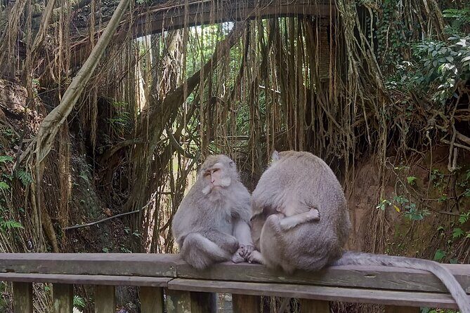 Bali Sunrise Horse Riding and Tour - Authenticity and Insights from Past Travelers