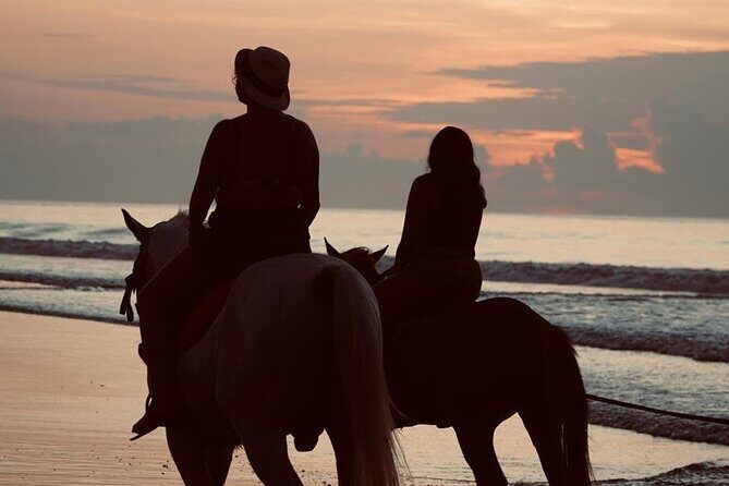 Bali Sunrise Horse Riding Experience Include Transfer - An In-Depth Look at the Bali Sunrise Horse Riding Experience