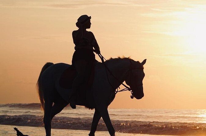 Bali Sunrise Horse Riding Experience Include Transfer - What Travelers Have Said (Based on Review Insights)