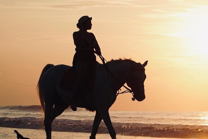 Bali Sunrise Horse Riding Experience Include Transfer - The Practical Side