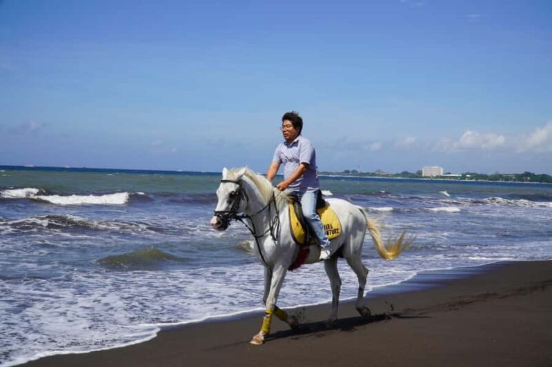 Bali: Sunrise Horse Riding Sanur Beach Experience - Who Should Consider This Tour?