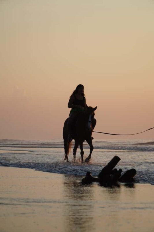 Bali: Sunrise Horse Riding Sanur Beach Experience - The Sum Up