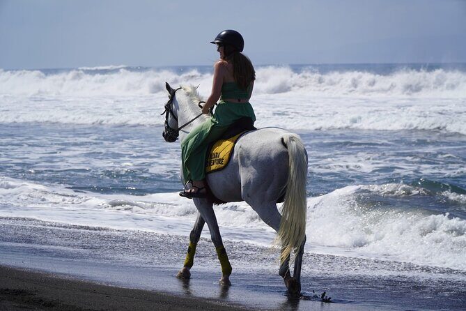 Bali Sunrise Horse Riding Sanur Beach Tour Include Transport - Overview of the Bali Sunrise Horse Riding Tour