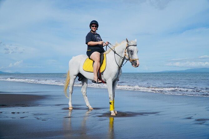 Bali Sunrise Horse Riding Sanur Beach Tour Include Transport - How the Experience Has Been Praised