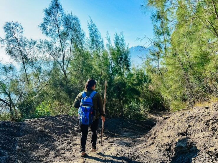 Bali: Sunrise Mount Batur Hike With Breakfast - Highlights of the Activity