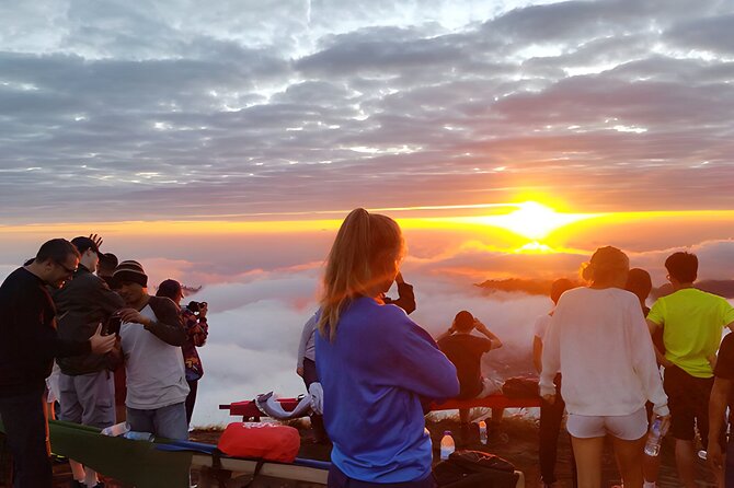 Bali Sunrise Trekking and Full-Day Trip in Ubud Best Destination - Pricing Information for the Tour
