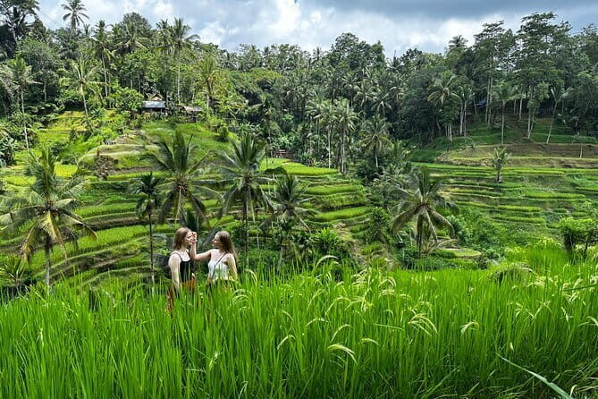 Bali Sunrise Without Hiking: Temples, Rice Terraces & Waterfall - An In-Depth Look at the Bali Sunrise Without Hiking Tour