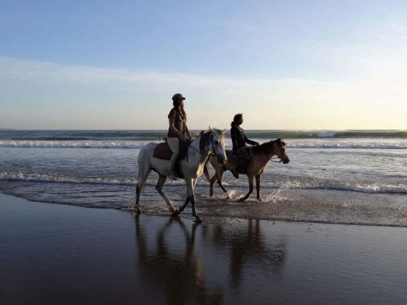 Bali Sunset Horse Ride by the Kedungu Beach - An In-Depth Look at the Bali Sunset Horse Ride
