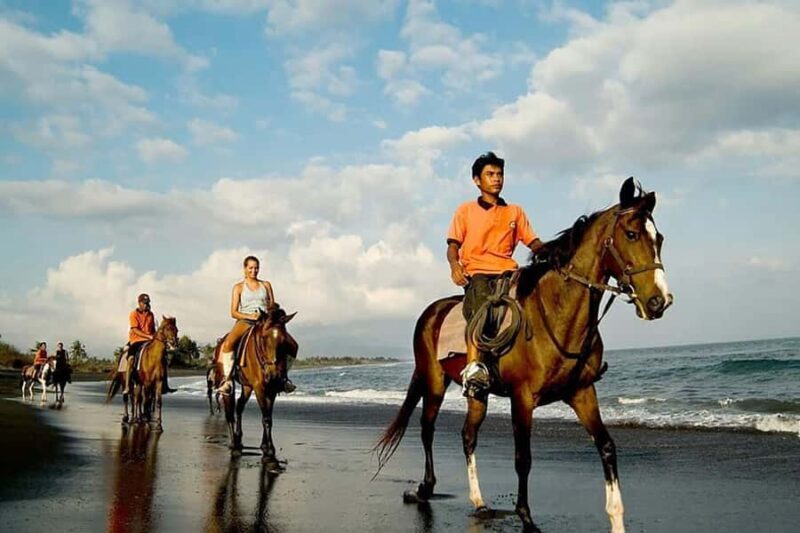 Bali Sunset Horse Ride by the Kedungu Beach - Good To Know