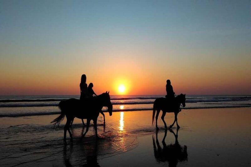 Bali Sunset Horse Ride by the Kedungu Beach - Final Thoughts