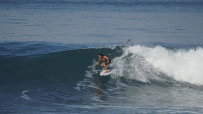 Bali Surf Trip: Surf Balis Best Surf Spots - Cancellation Policies