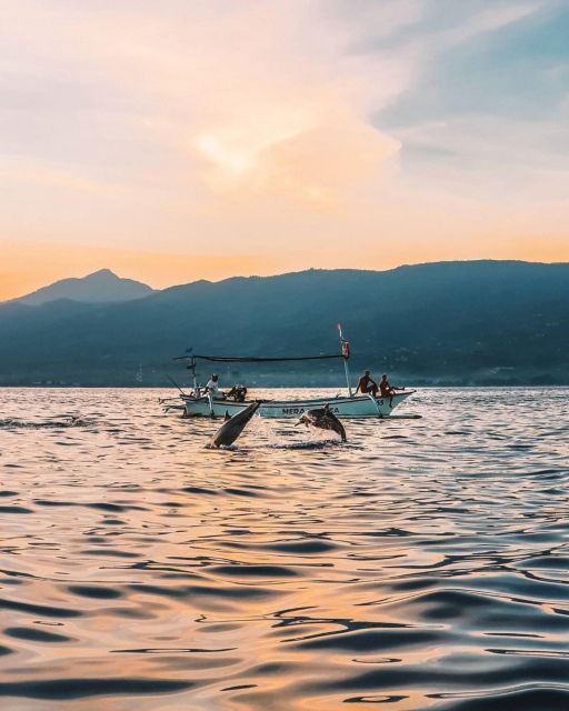 Bali: Swim With Dolphins, Ulundanu Bratan & Scenic Waterfall - Booking Details