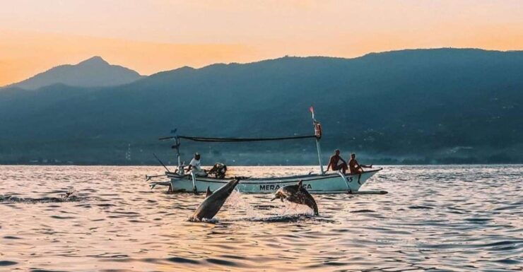 Bali: Swim With Dolphins, Ulundanu Bratan & Scenic Waterfall - Experiences