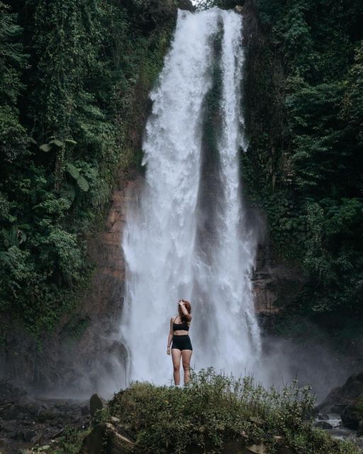 Bali: Swim With Dolphins, Ulundanu Bratan & Scenic Waterfall - Highlights