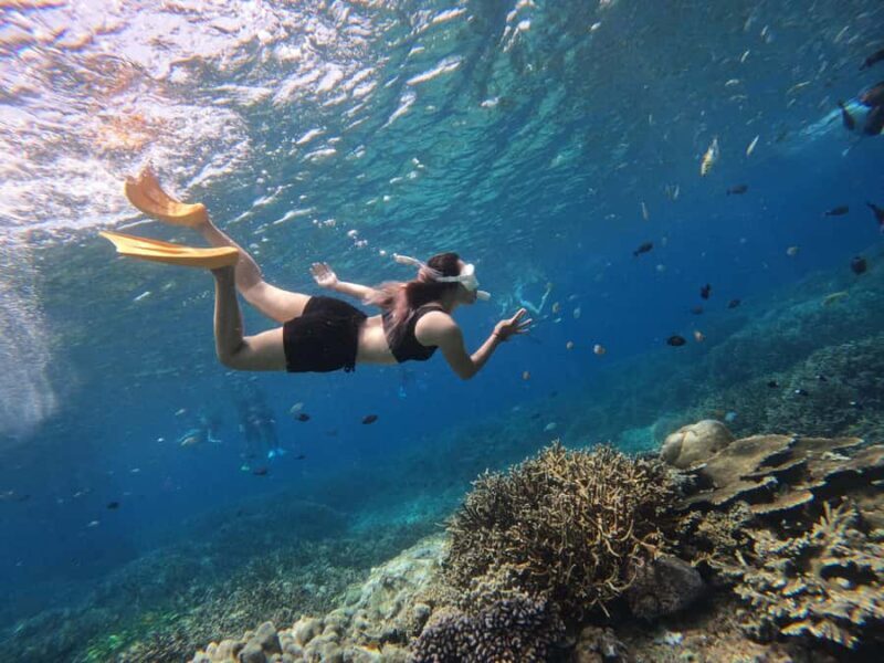 Bali: Swim with Manta Rays in Penida, Optional Lunch & Kayak - Versatile Activities