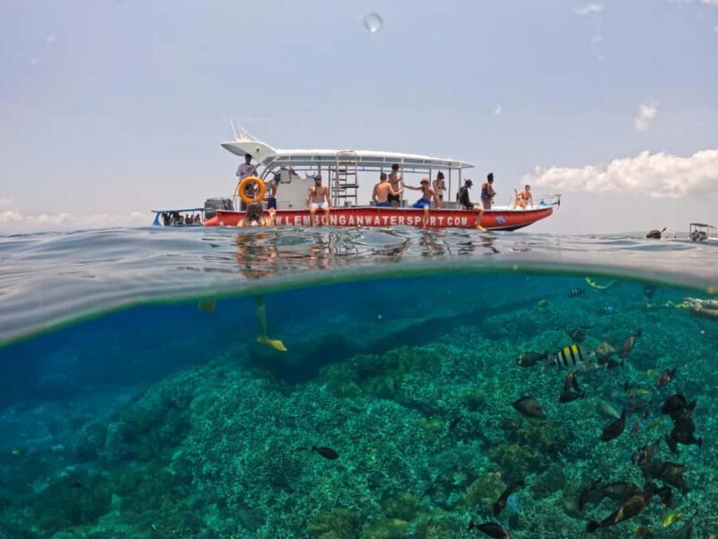 Bali: Swim with Manta Rays in Penida, Optional Lunch & Kayak - Lunch with a View and Optional Water Activities