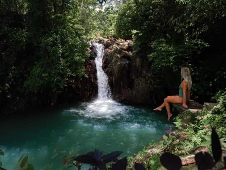 Bali: Swimming With Dolphin & Waterfal Tour, All Inclusive. - Itinerary and Activities