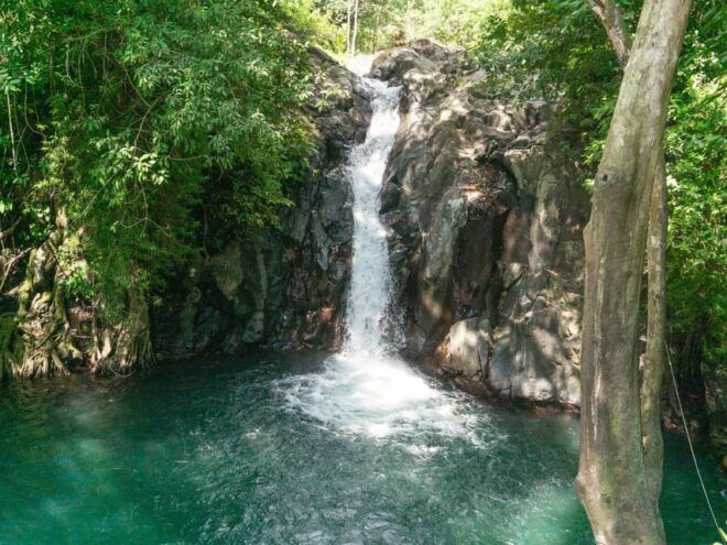 Bali: Swimming With Dolphin & Waterfal Tour, All Inclusive. - Important Information