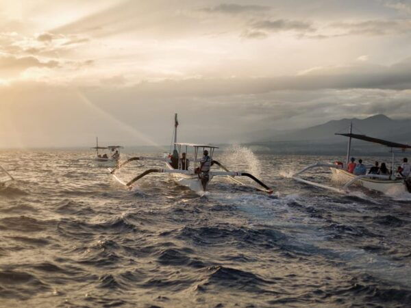 Bali: Swimming With Dolphin & Waterfal Tour, All Inclusive. - Tips for Your Tour