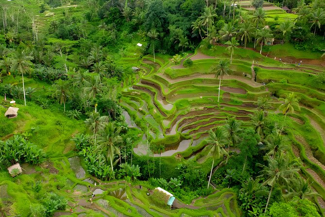 Bali Swing Activity and Ubud Watefall Trip Packages - Cancellation Policy Details