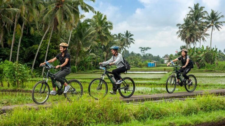 Bali Swing and Waterfall Full Day Tour in Ubud - Booking and Cancellation