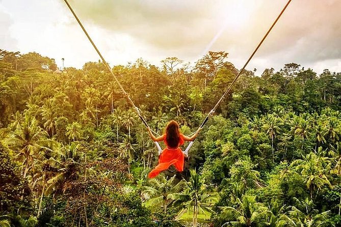 Bali Swing Experience and Kintamani Volcano Tour - Traveler Photo Showcase