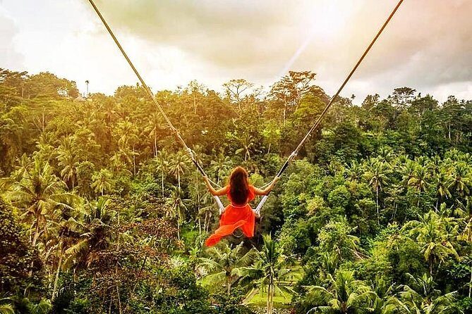 Bali Swing Experience and Ubud Tour - Good To Know